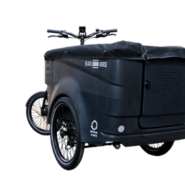 CARGO-BIKE PRO 6